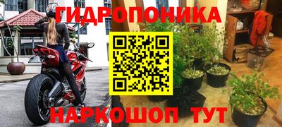 прущие крисы Ликино-Дулёво