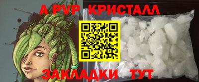 индика Лесосибирск