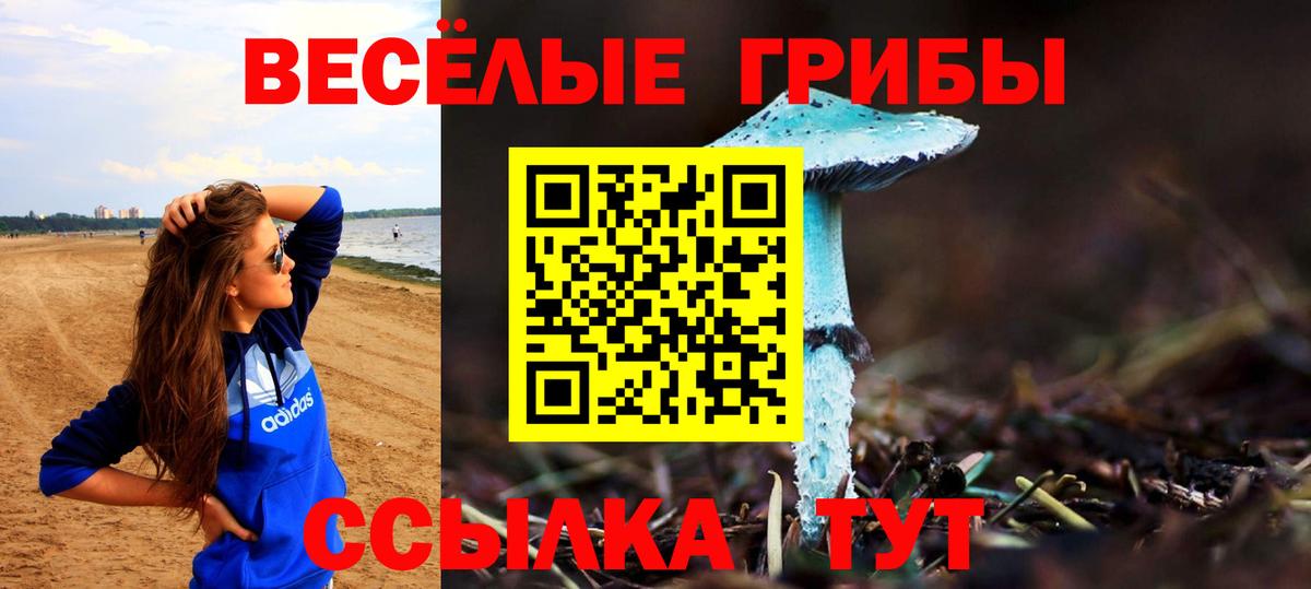 Псилоцибиновые грибы ЛСД  Галлюциногенные грибы Cubensis  Аксай  Вход с VPN 